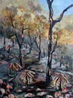 /album/eve-jorgensen-art/aust-journeys-bushfire-no-1-2013-jpg/